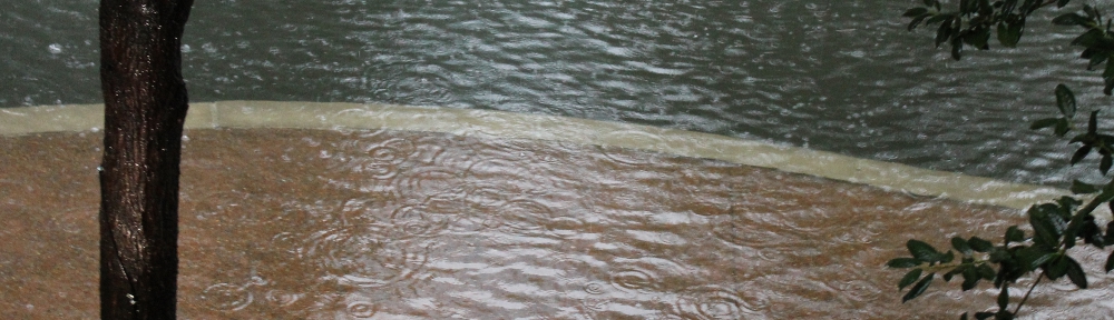 Sean Witherspoon's Blog